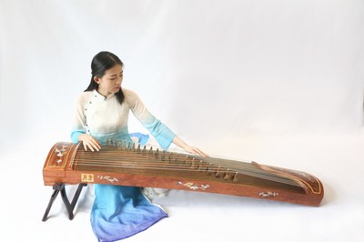 初学者买什么古筝好,买古筝详解