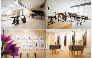 免费送精品课程体验 乐界古筝沙龙门票 0基础也能弹古筝