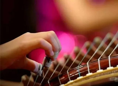 琼花杯 安徽省皖南古筝艺术展演在海螺国际会议中心盛大举行