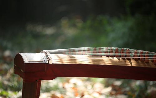 三招巧妙应对古筝老师的批评，让她/他不再挑剔